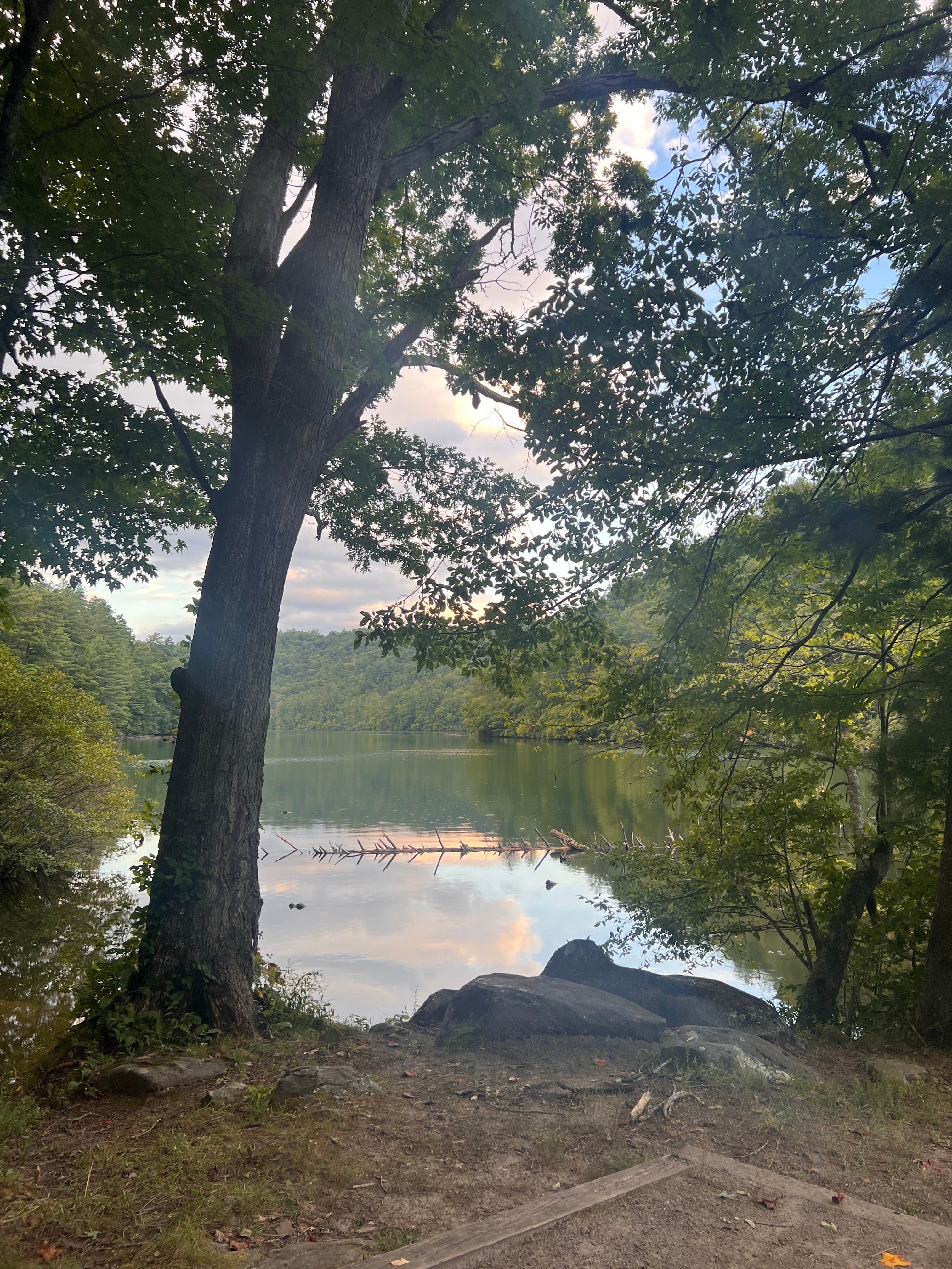Camper-submitted photo at Lake Santeelah Dispersed near Robbinsville, NC