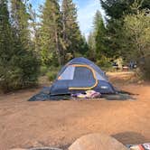 Review photo of Lake Siskiyou Camp Resort by Michael O., July 30, 2024