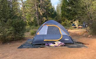 Michael O.'s photo at Lake Siskiyou Camp Resort near Weed, CA