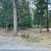 Review photo of Lake Siskiyou Camp Resort by Peter I., October 9, 2023