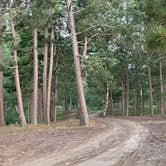 Review photo of Lake Superior Beachfront (US Forest Land) by Gayle B., August 22, 2026