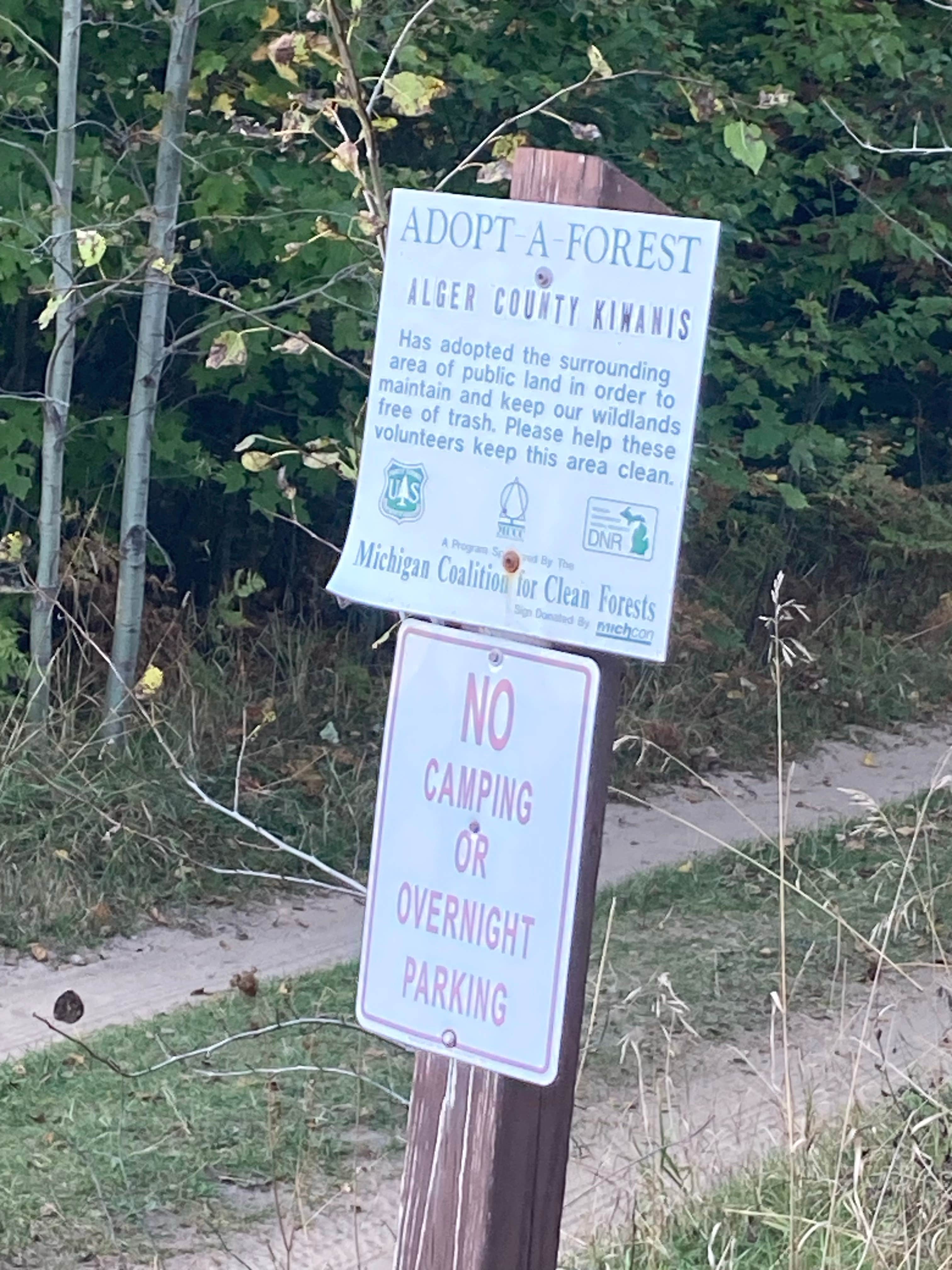 Camper submitted image from Lake Superior Beachfront (US Forest Land) - 1