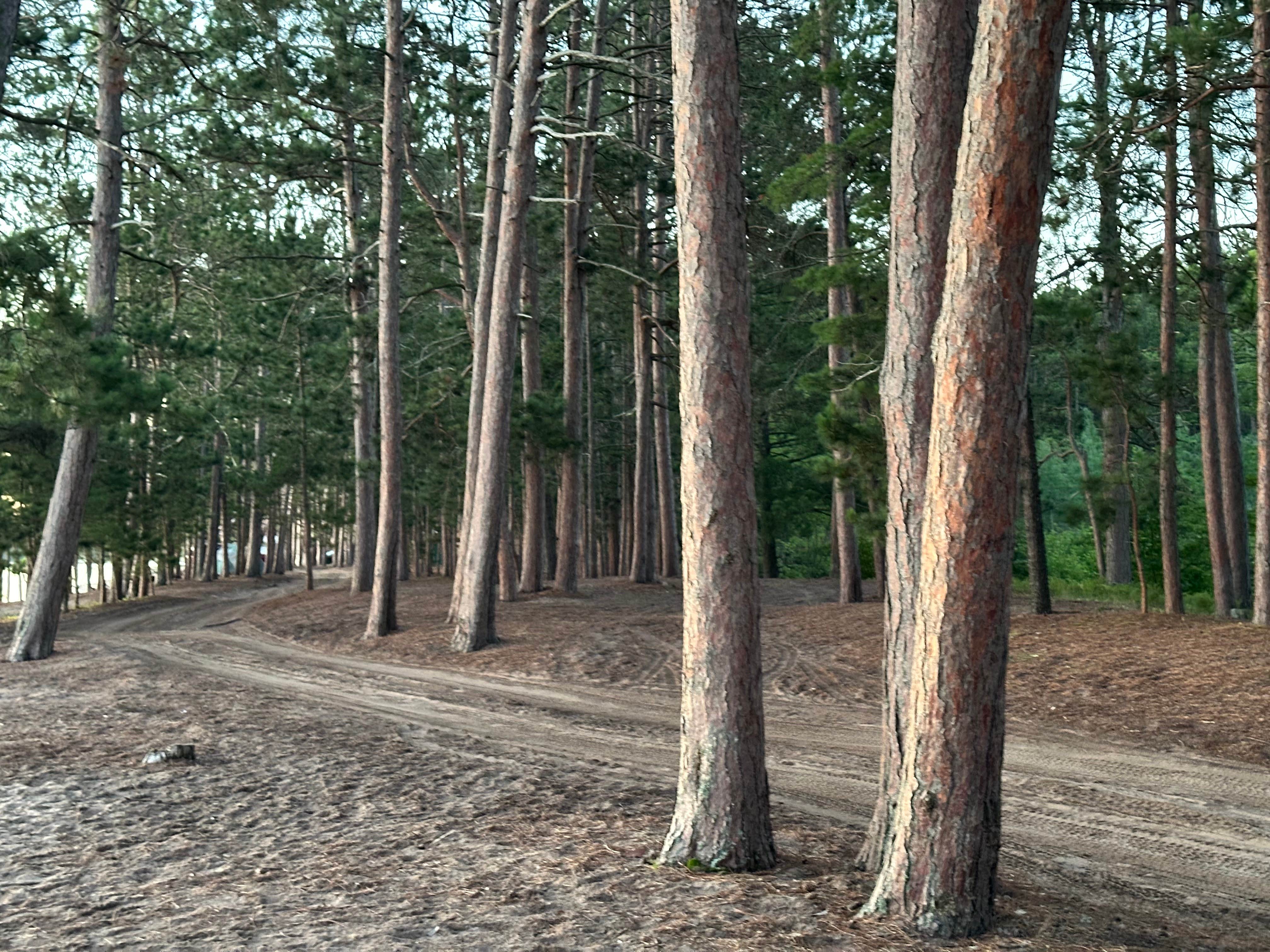 Lake Superior Beachfront (US Forest Land)