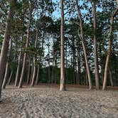 Review photo of Lake Superior Beachfront (US Forest Land) by Gayle B., August 22, 2026
