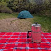 Review photo of Lake Superior Cart-in Campground — Tettegouche State Park by Sarah D., June 12, 2025