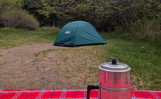 Sarah D.'s photo of tent camping at Lake Superior Cart-in Campground — Tettegouche State Park near Bayfield, WI