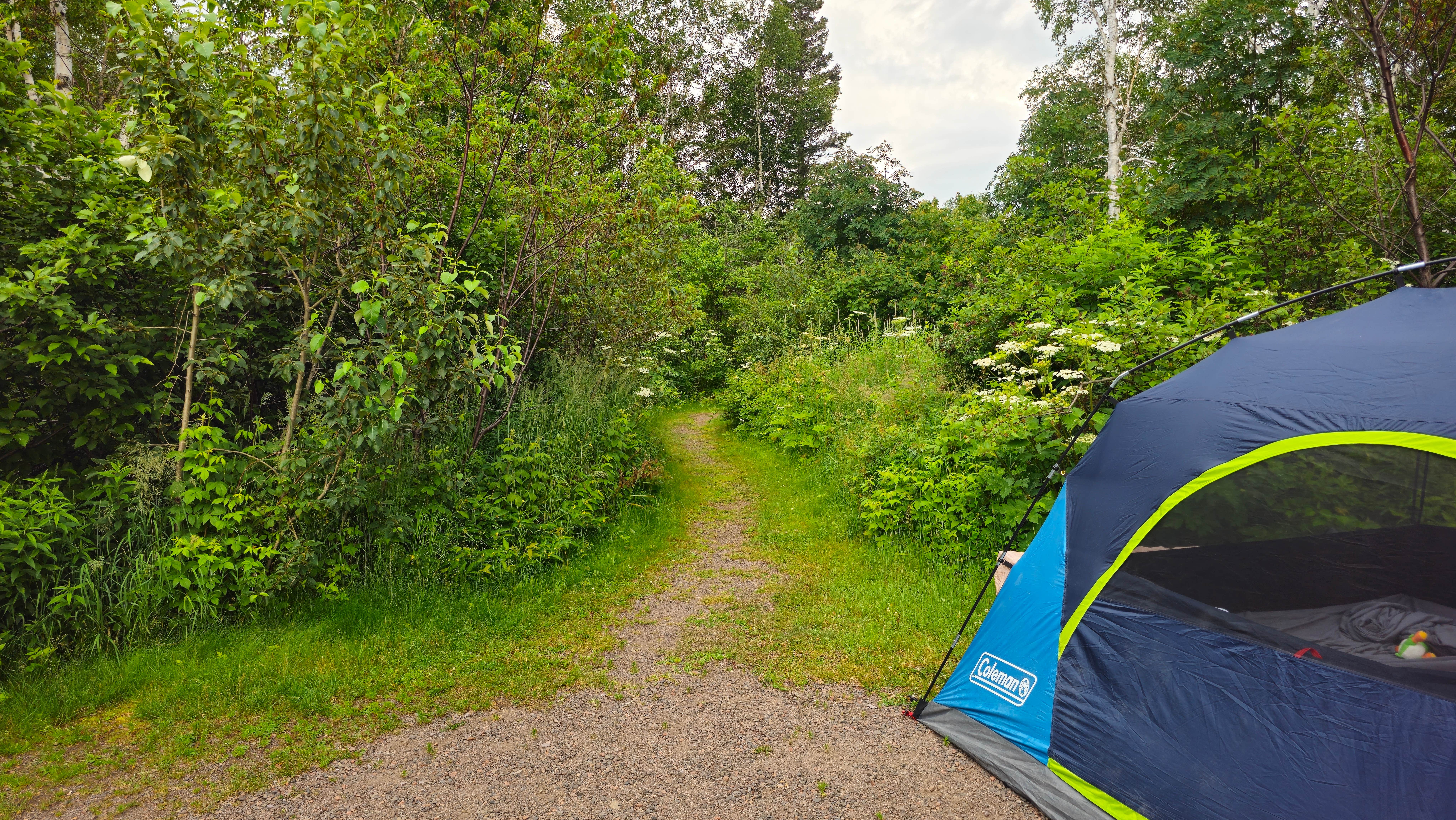 Josh Z.'s photo of tent camping at Lake Superior Cart-in Campground — Tettegouche State Park near Knife River, MN