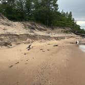 Review photo of Lake Superior North Shore by Jon S., August 22, 2025