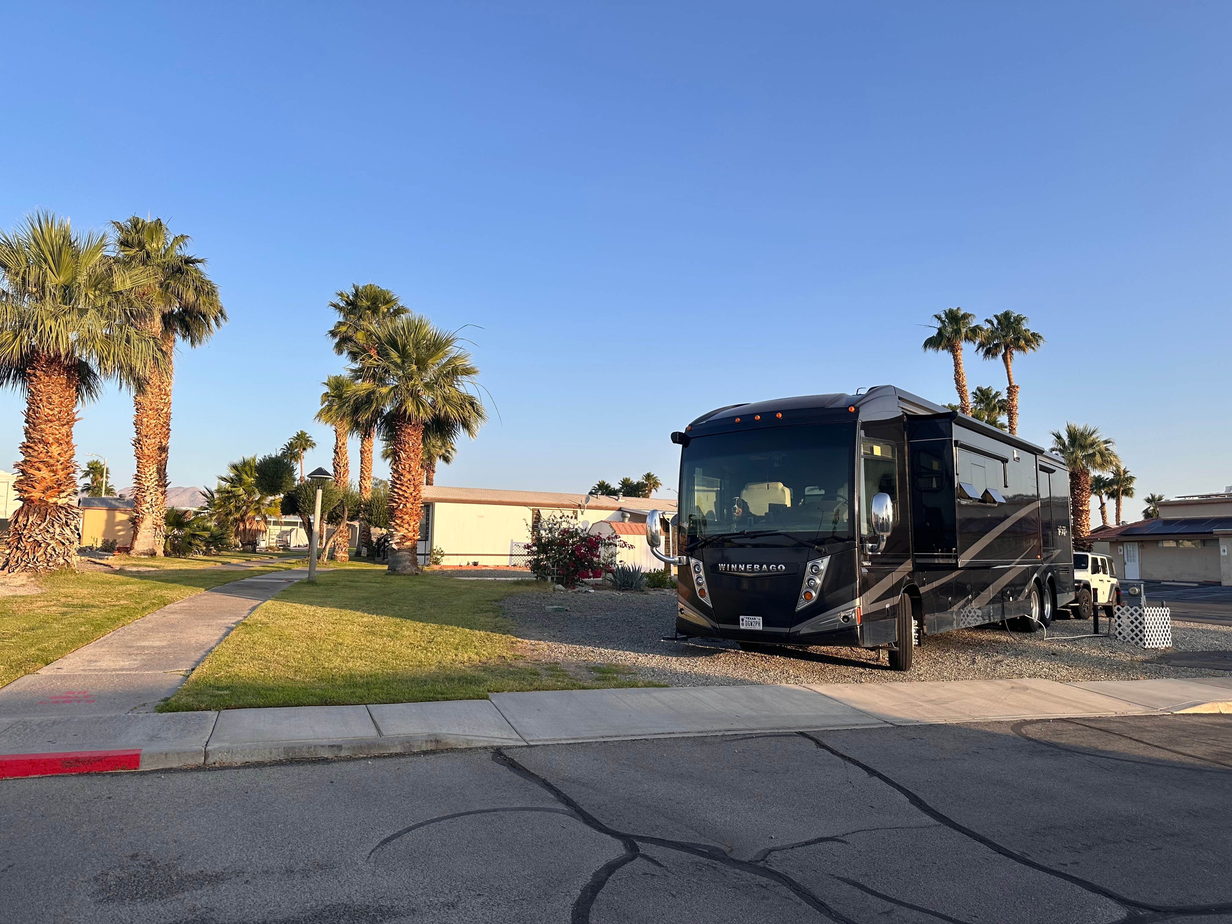 Camper submitted image from Lake Tamarisk Desert Resort - 2