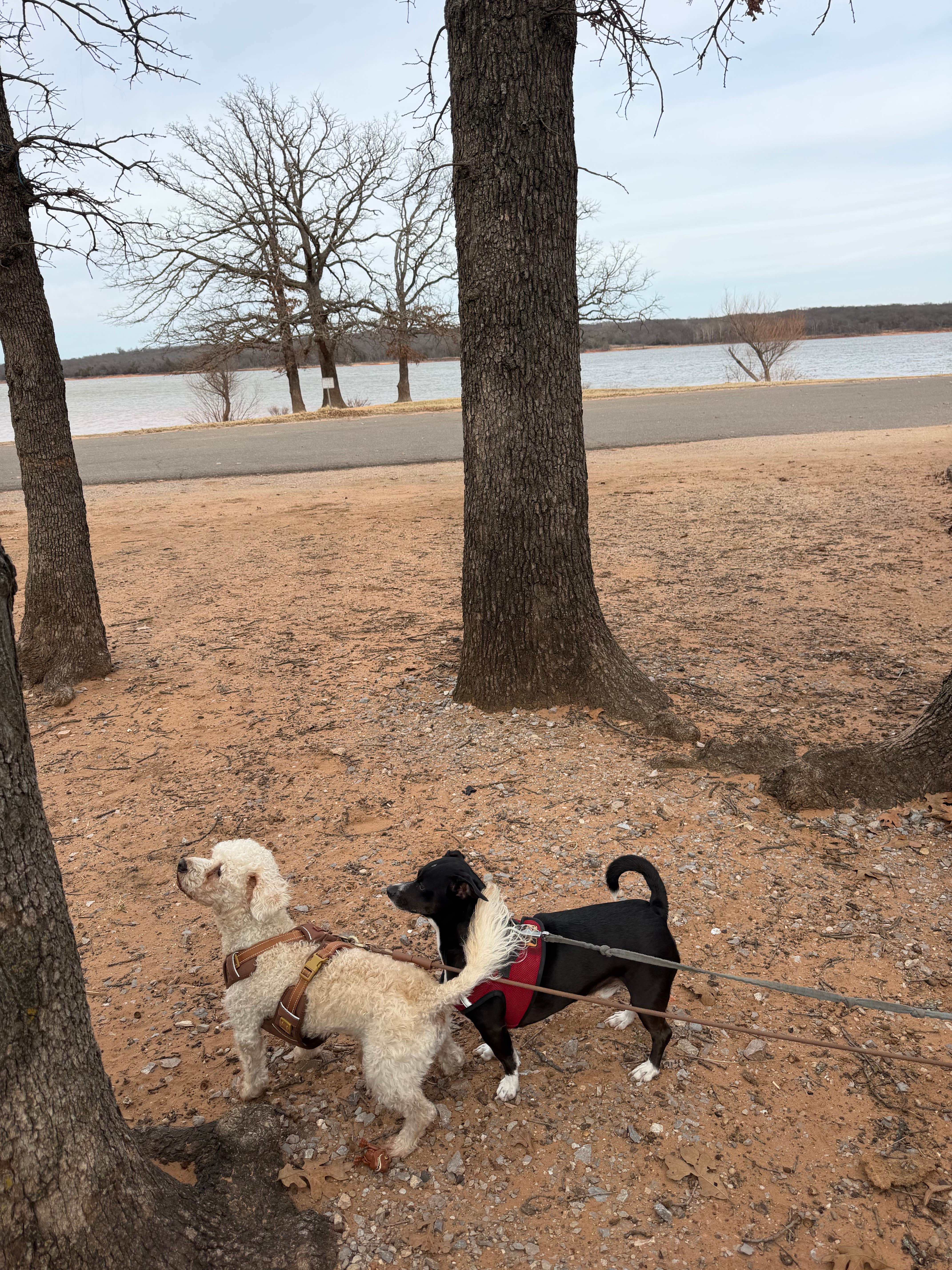 Camper-submitted photo at Lake Thunderbird State Park - Rose Rock RV Campground near Noble, OK
