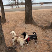 Review photo of Lake Thunderbird State Park - Rose Rock RV Campground by Ilce H., May 1, 2026