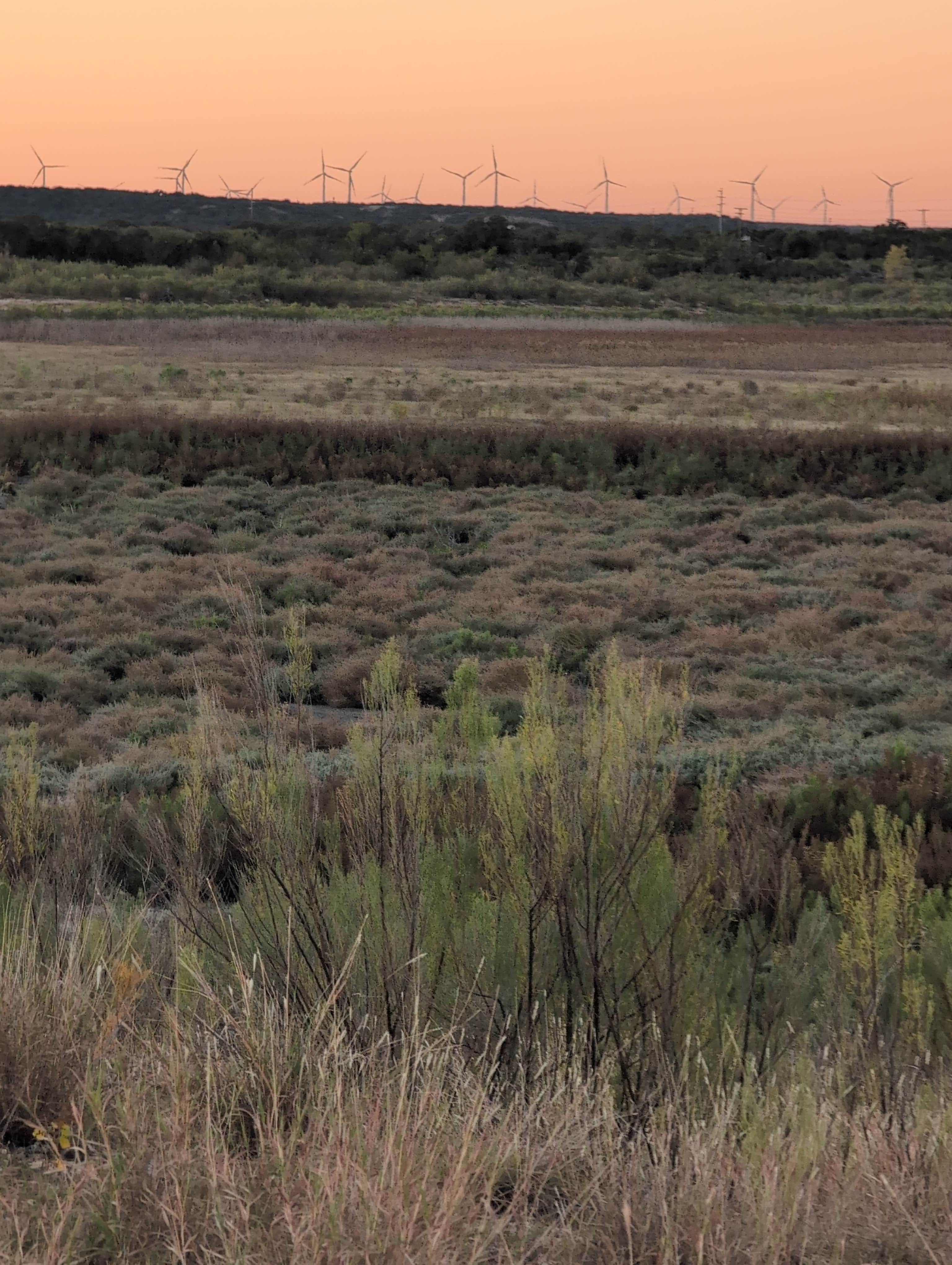 Camper-submitted photo at Lake Trammell Park near Robert Lee, TX