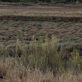 Review photo of Lake Trammell Park by Rick M., October 30, 2025