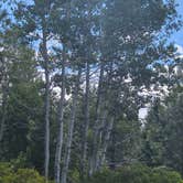 Review photo of Lake Valley Rd Pullout by Vanessa H., July 6, 2026