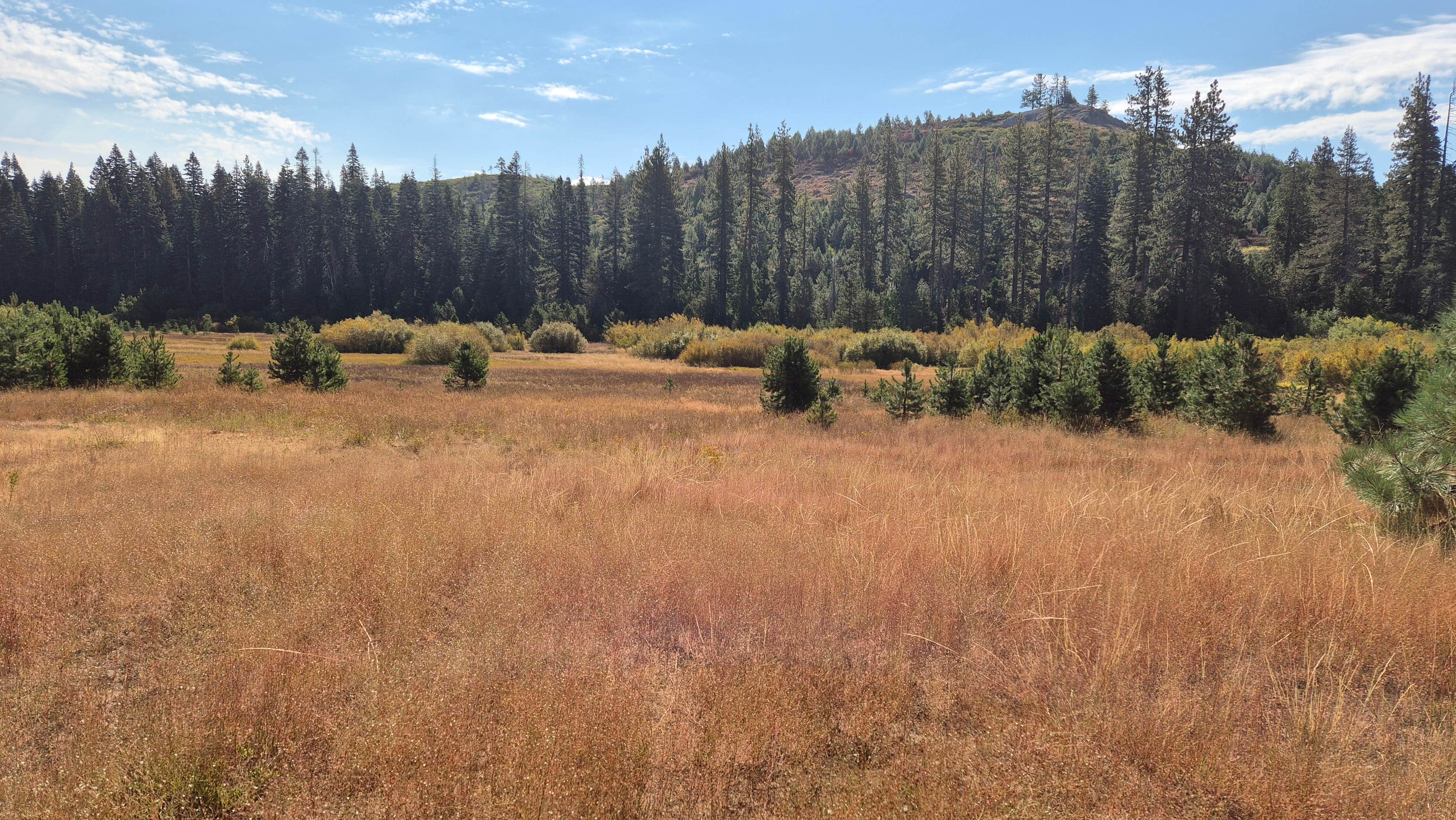 Camper-submitted photo at Lake valley road dispersed camping near Colfax, CA