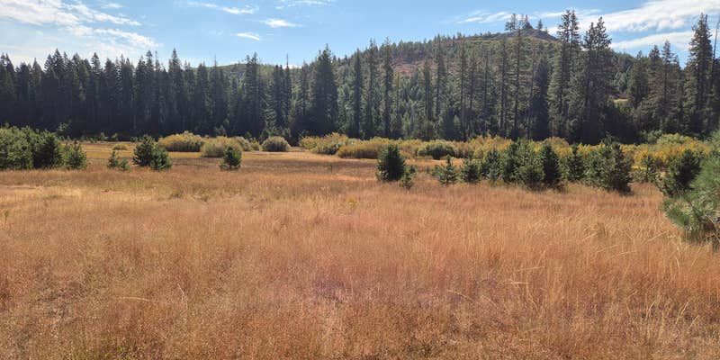 Camper submitted image from Lake valley road dispersed camping