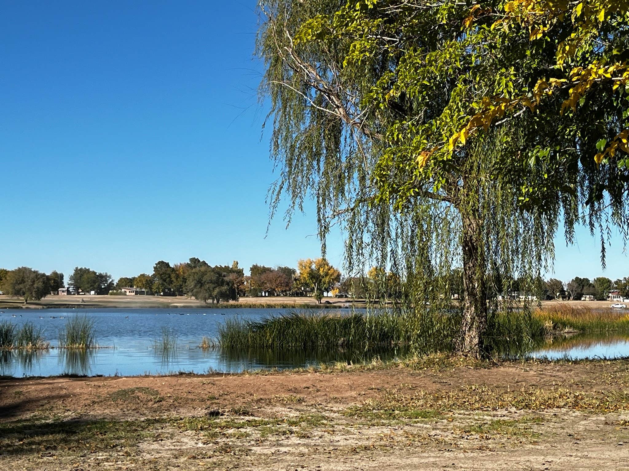 Camper-submitted photo at Lake van near Artesia, NM