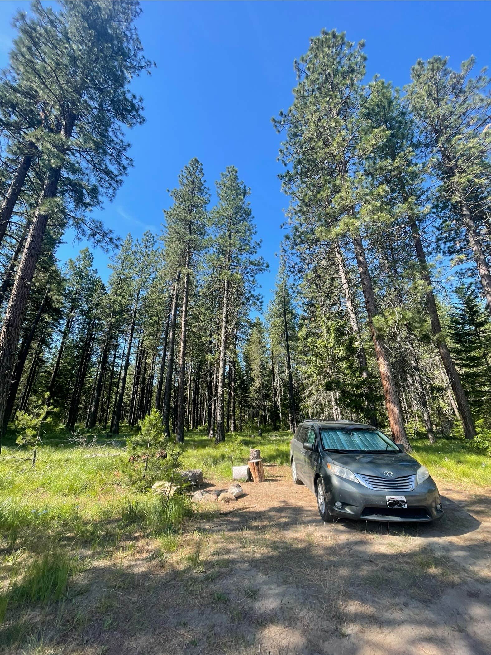 Camping near Old Forest Service Campground — Lake Wenatchee: Lake Wenatchee Airstrip SnoPark, Leavenworth, Washington