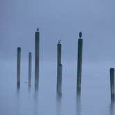 Review photo of Lakebay Getaway by Michael L., January 22, 2026