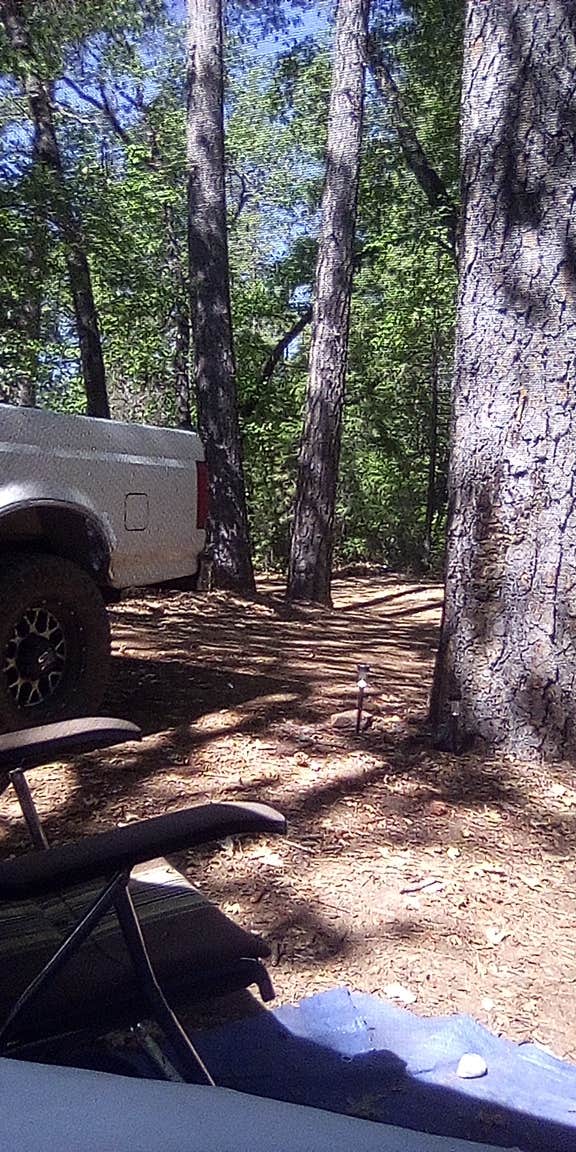 Camper submitted image from Lakehead Campground & RV Park - 1