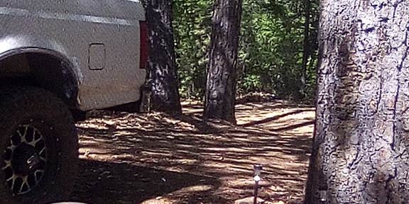 Camper submitted image from Lakehead Campground & RV Park