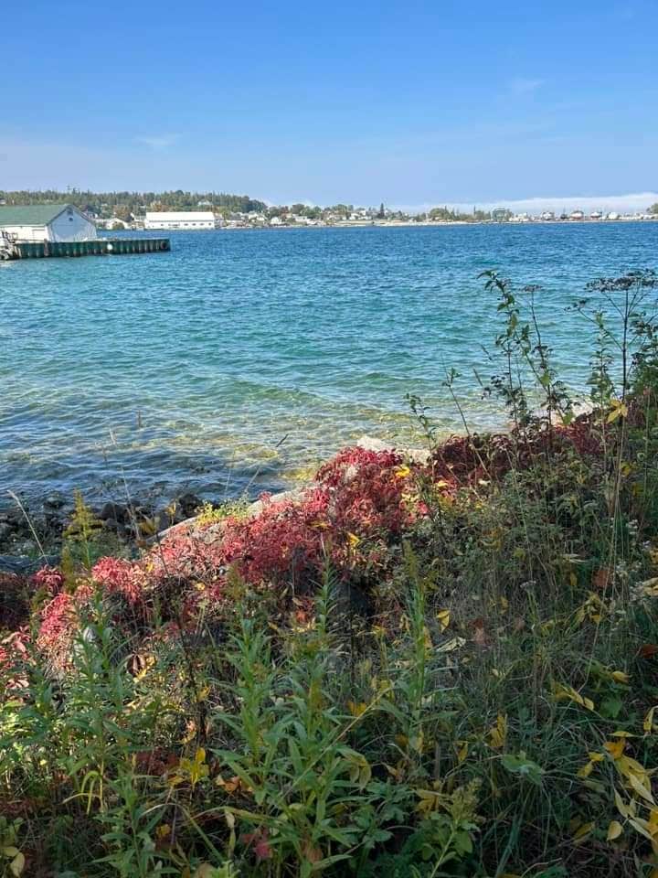 Camping near O’Neal Lake campsite - Wilderness State Park: Lakeshore Park Campground, St. Ignace, Michigan