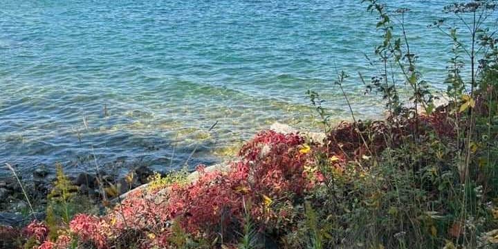 Camper submitted image from Lakeshore Park Campground