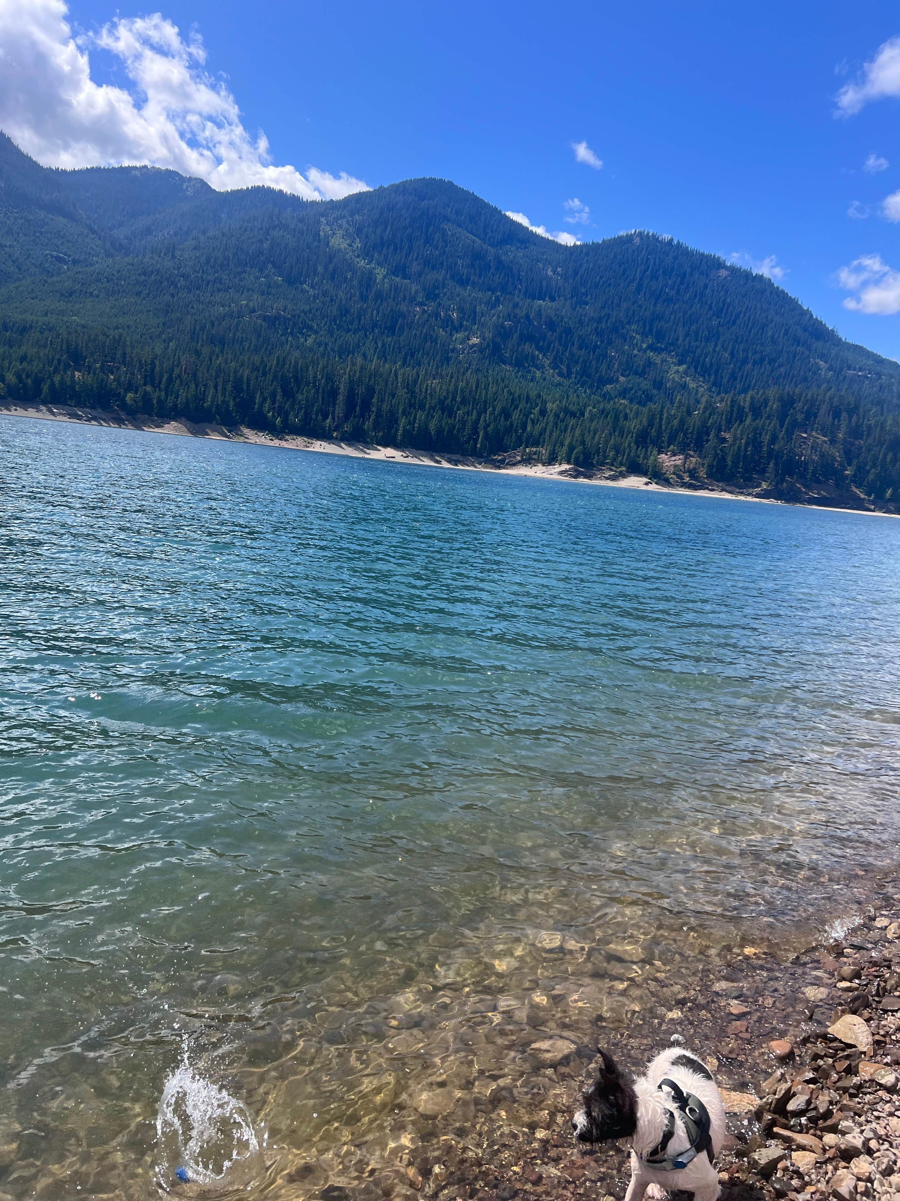 Camping near Cle Elum River Campground: Dry Creek Campground, Roslyn, Washington