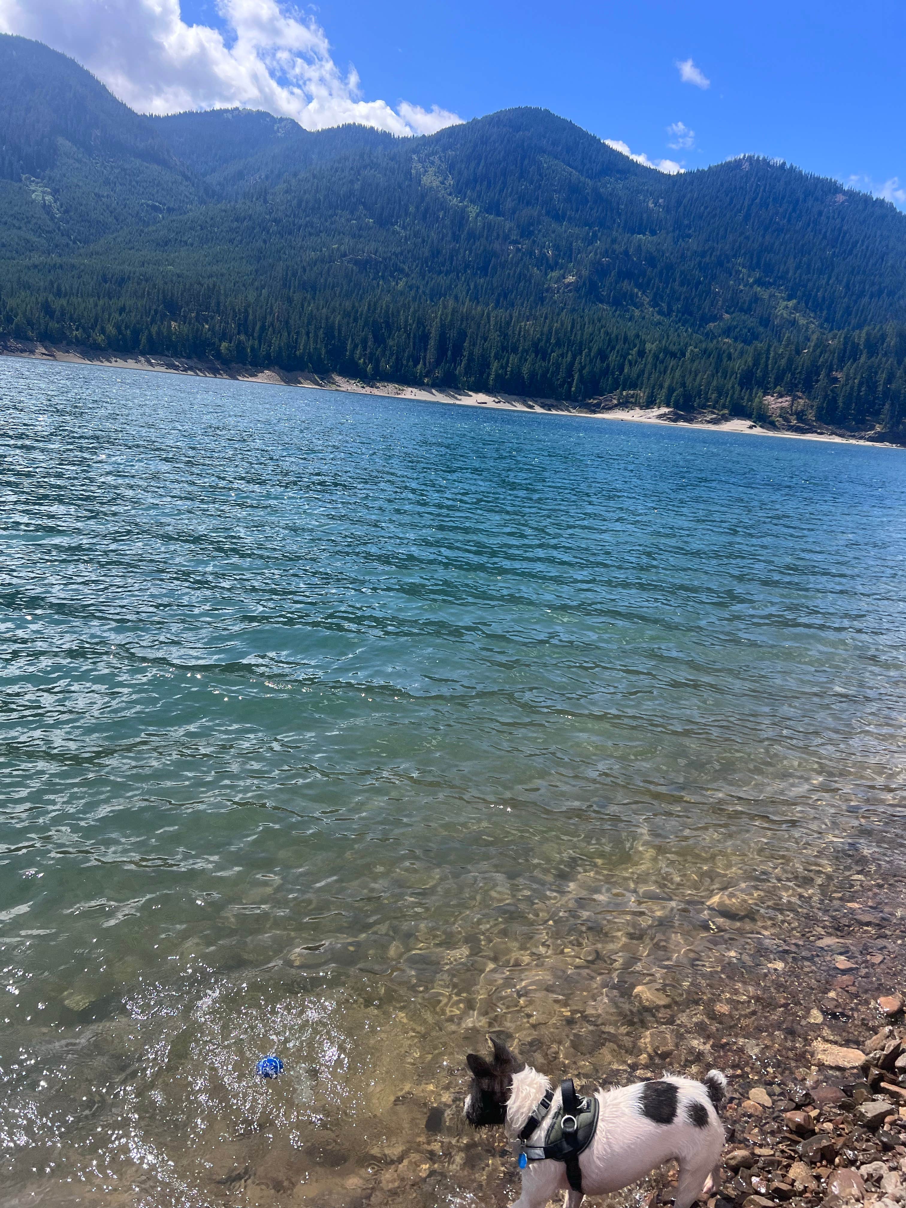 Camper submitted image from Dry Creek Campground - 2