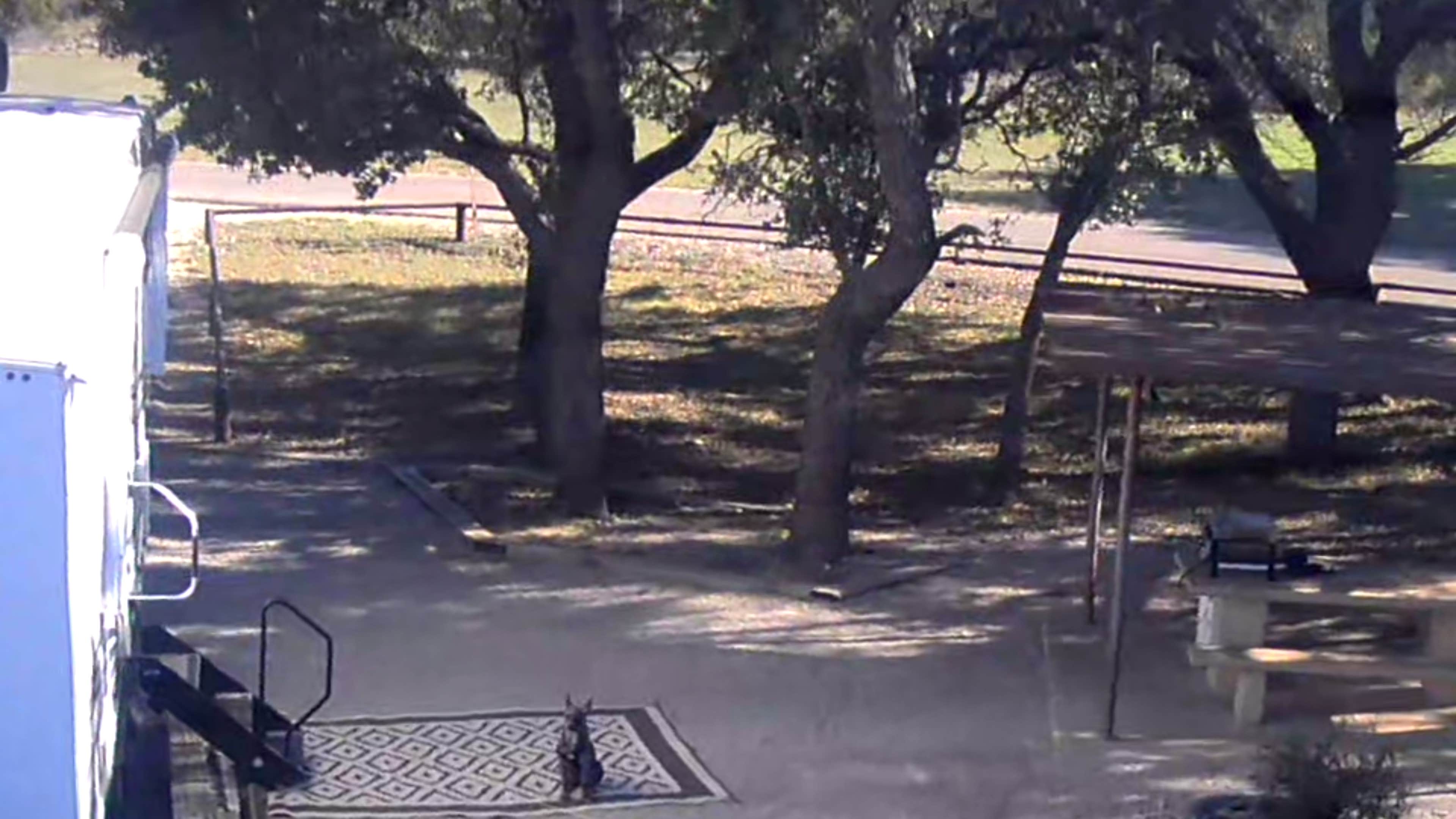 Camper-submitted photo at COE Hords Creek Lake Lakeside Park near Hords Creek Lake