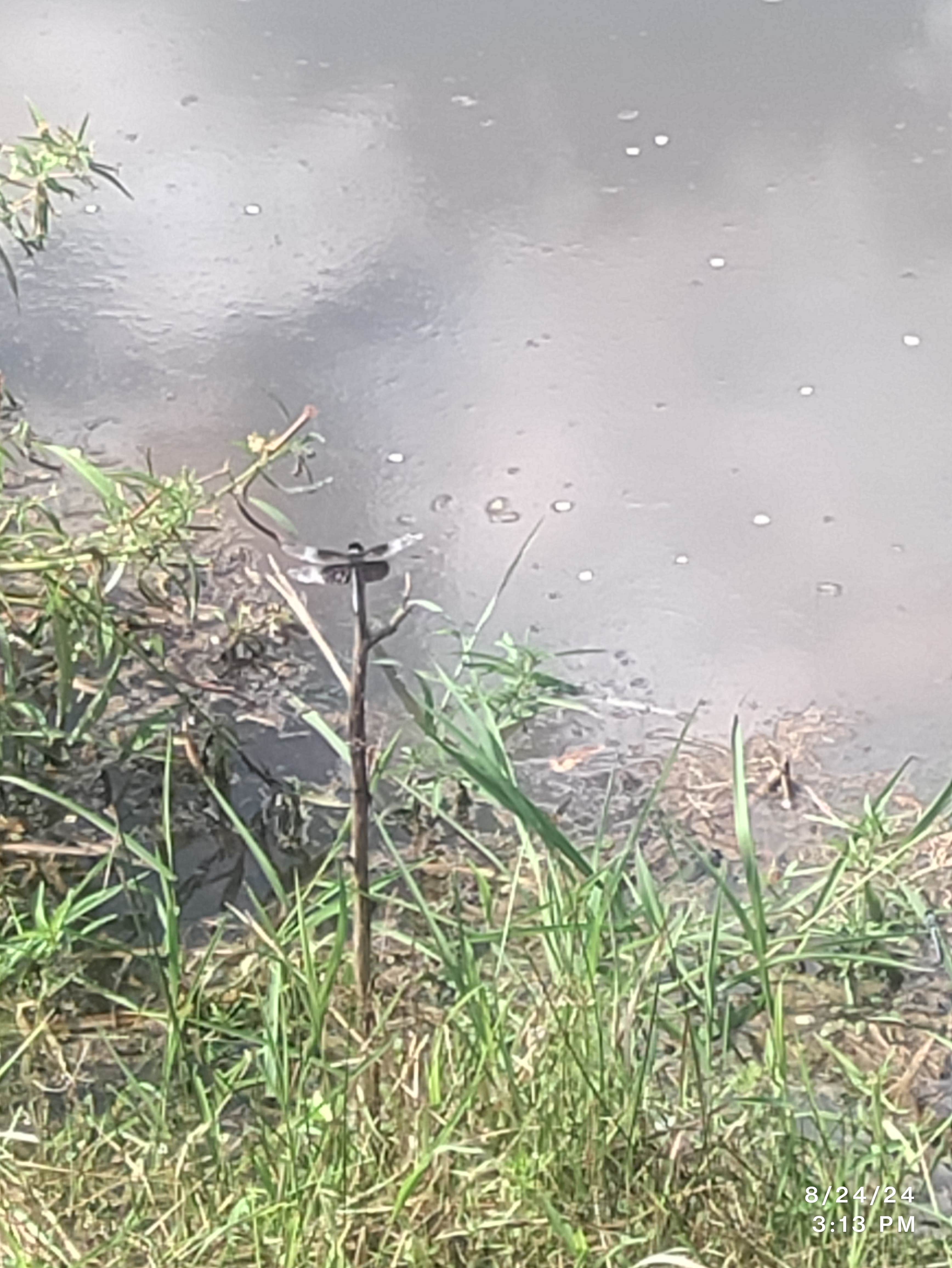 Camper-submitted photo at Lakeside RV Park near Kent, AL