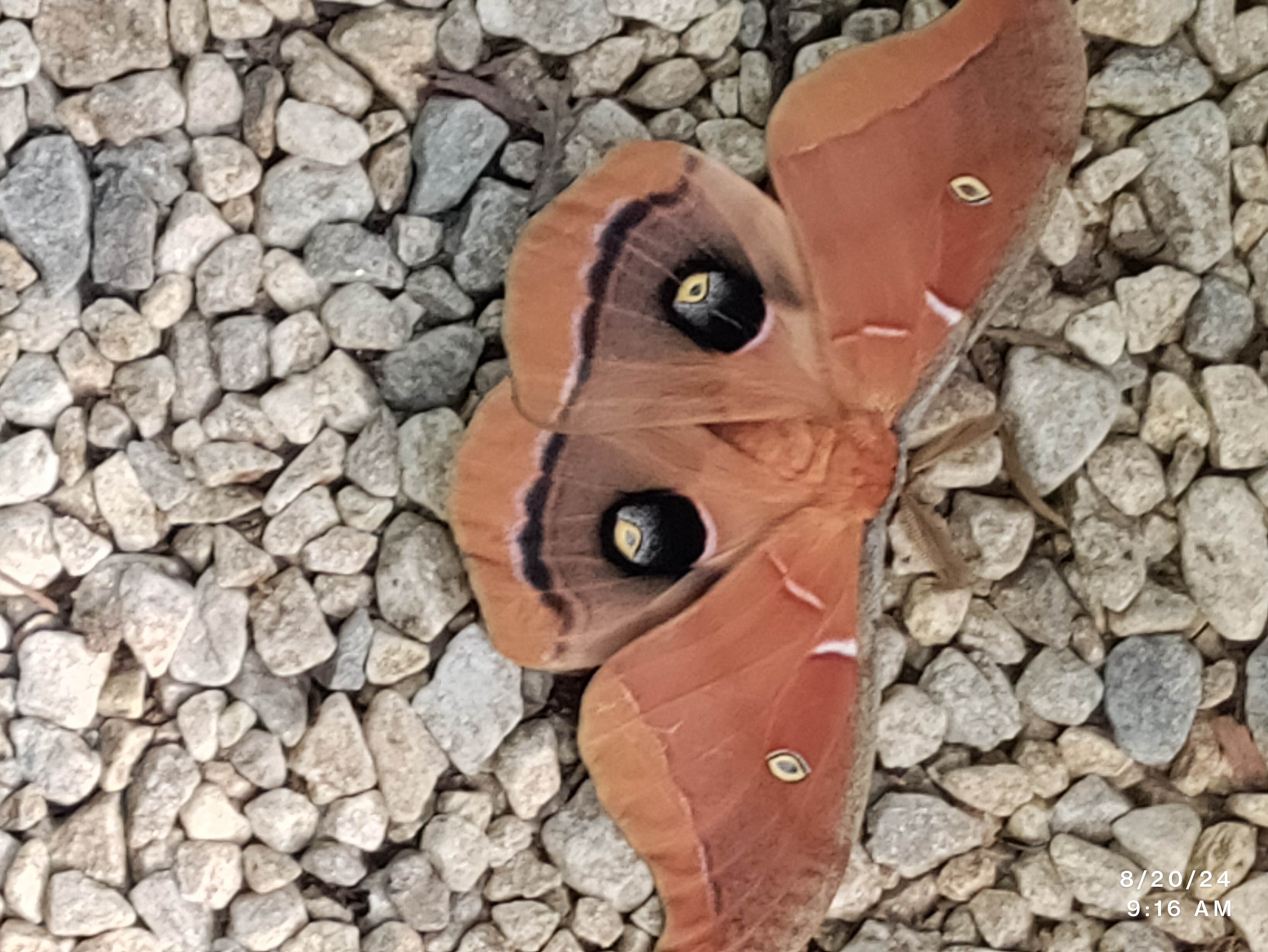 Camper-submitted photo at Lakeside RV Park near Kent, AL