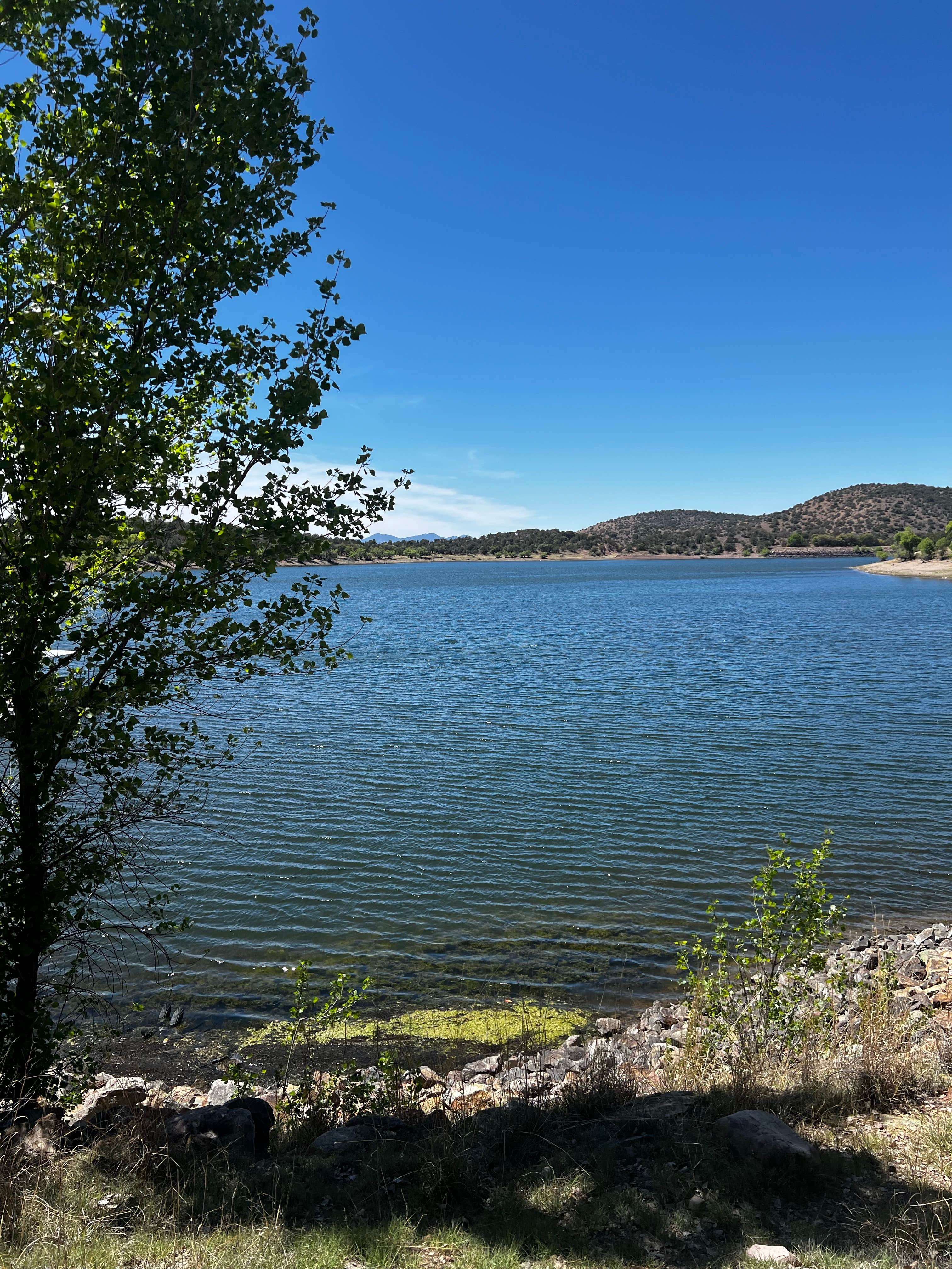 Camper-submitted photo at Lakeview Campground near Nogales, AZ