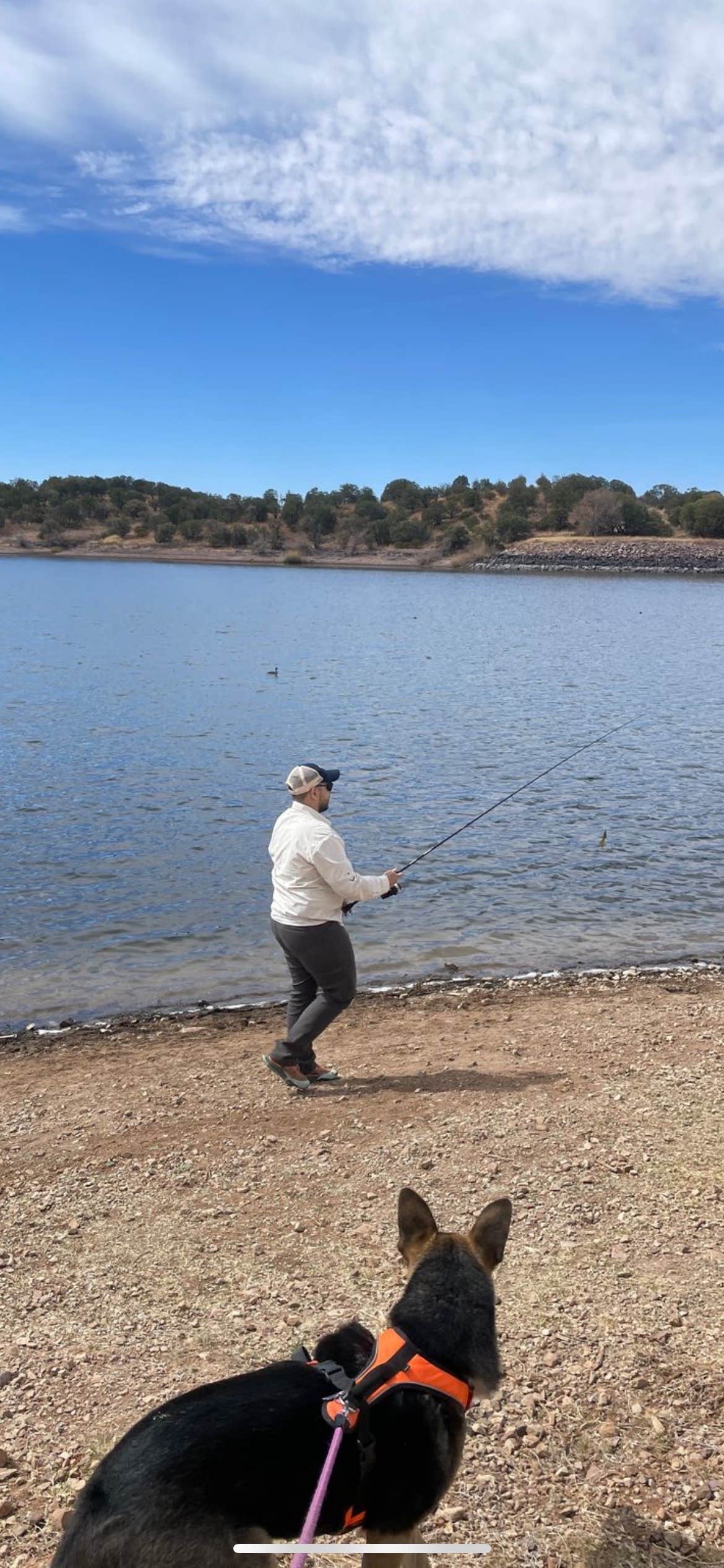 Pedro G.'s photo of camping with pets at Lakeview Campground near Sonoita, AZ