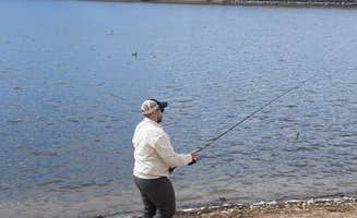 Pedro G.'s photo of camping with pets at Lakeview Campground near Patagonia, AZ