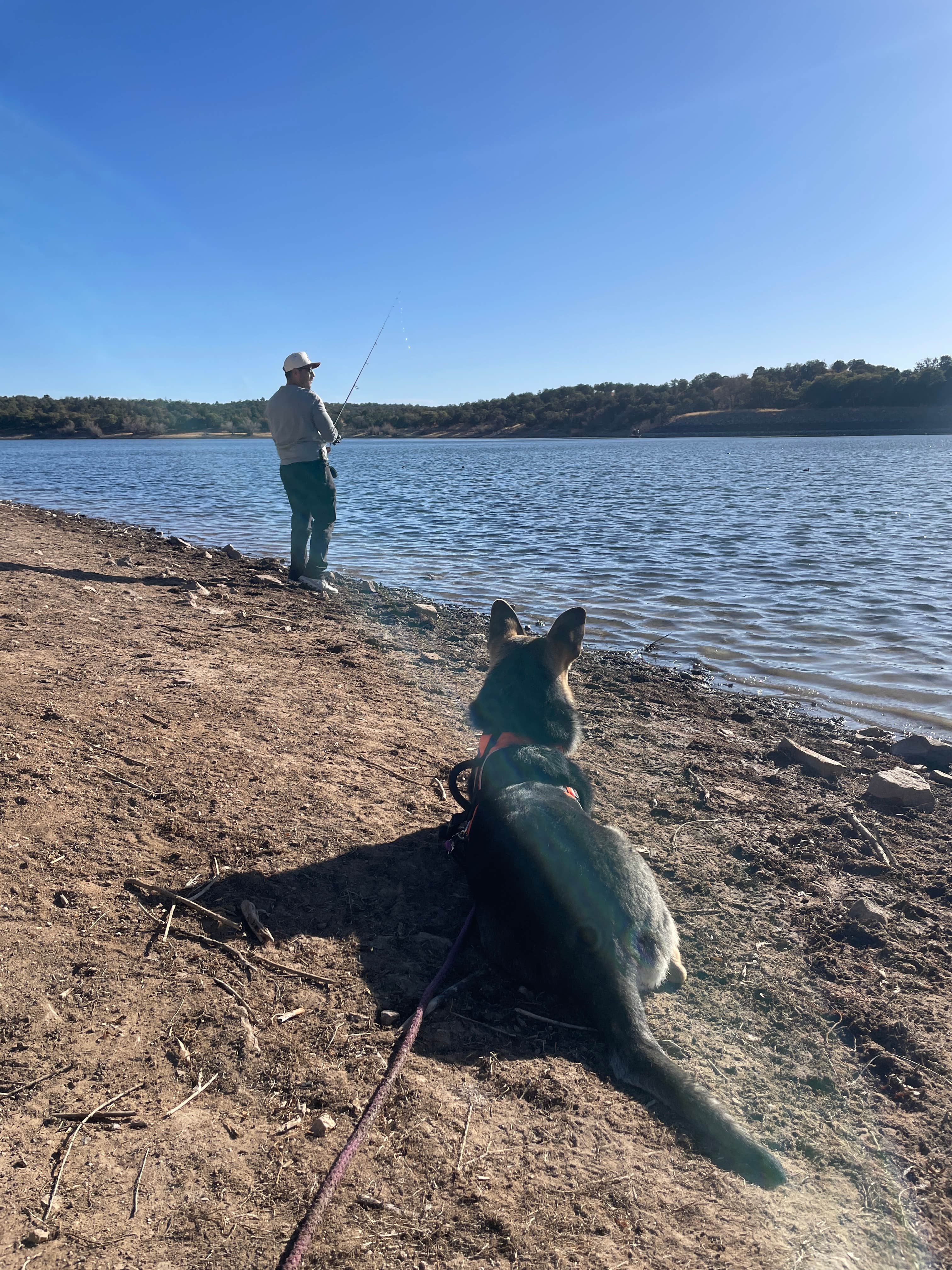 Pedro G.'s photo of camping with pets at Lakeview Campground near Sierra Vista, AZ