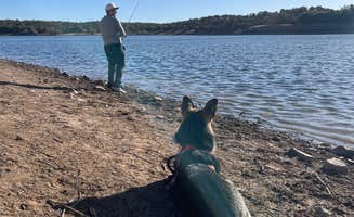 Pedro G.'s photo of camping with pets at Lakeview Campground near Bisbee, AZ