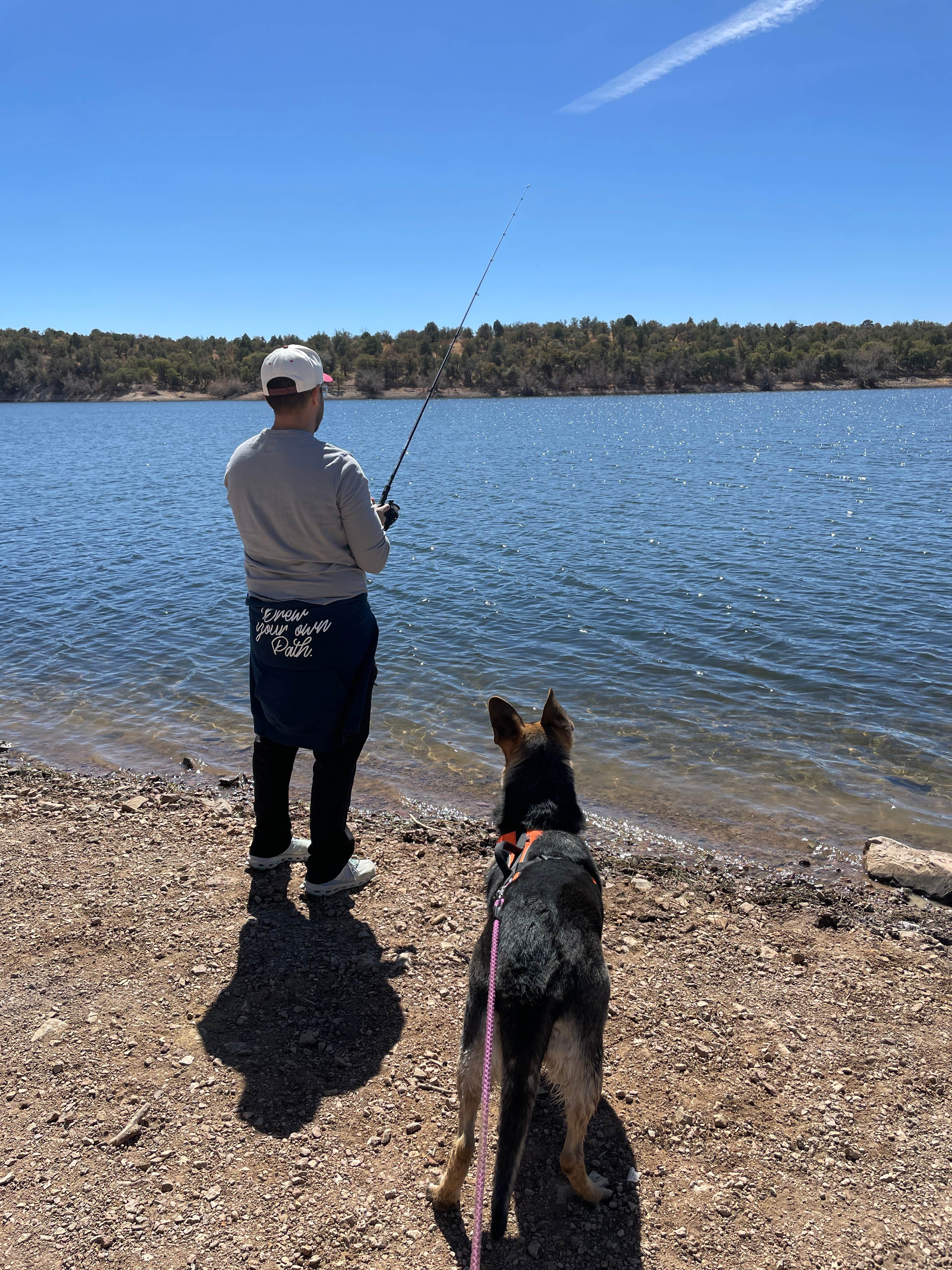 Pedro G.'s photo of camping with pets at Lakeview Campground near Sonoita, AZ