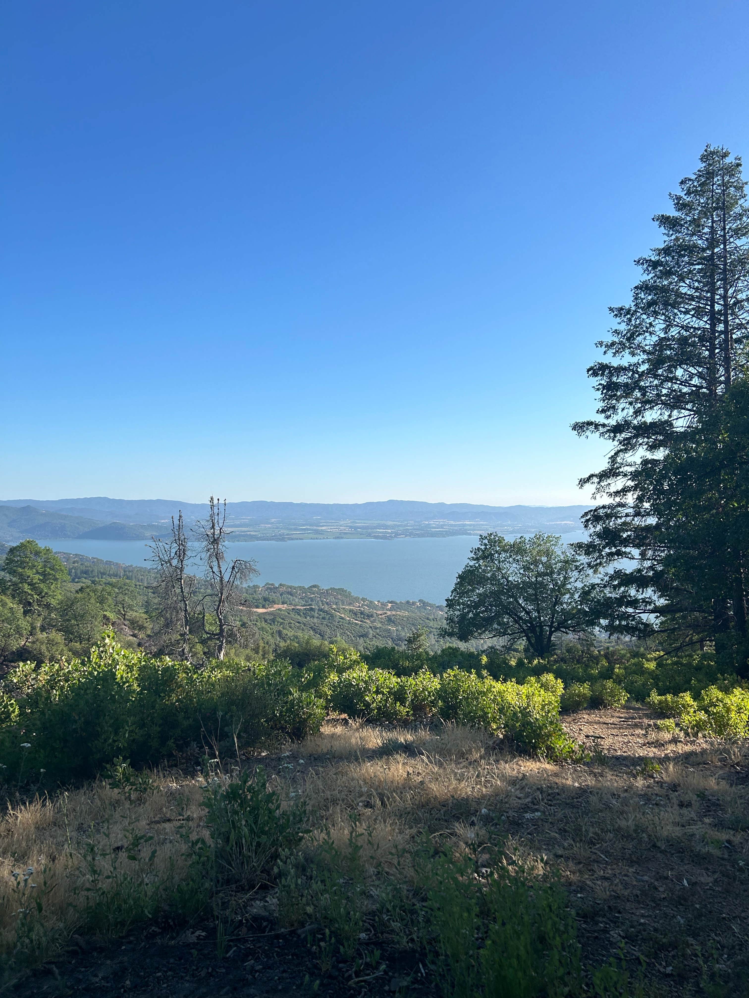 Stacy L.'s photo of a dispersed camping area at Lakeview Dispersed Campground near Redwood Valley, CA