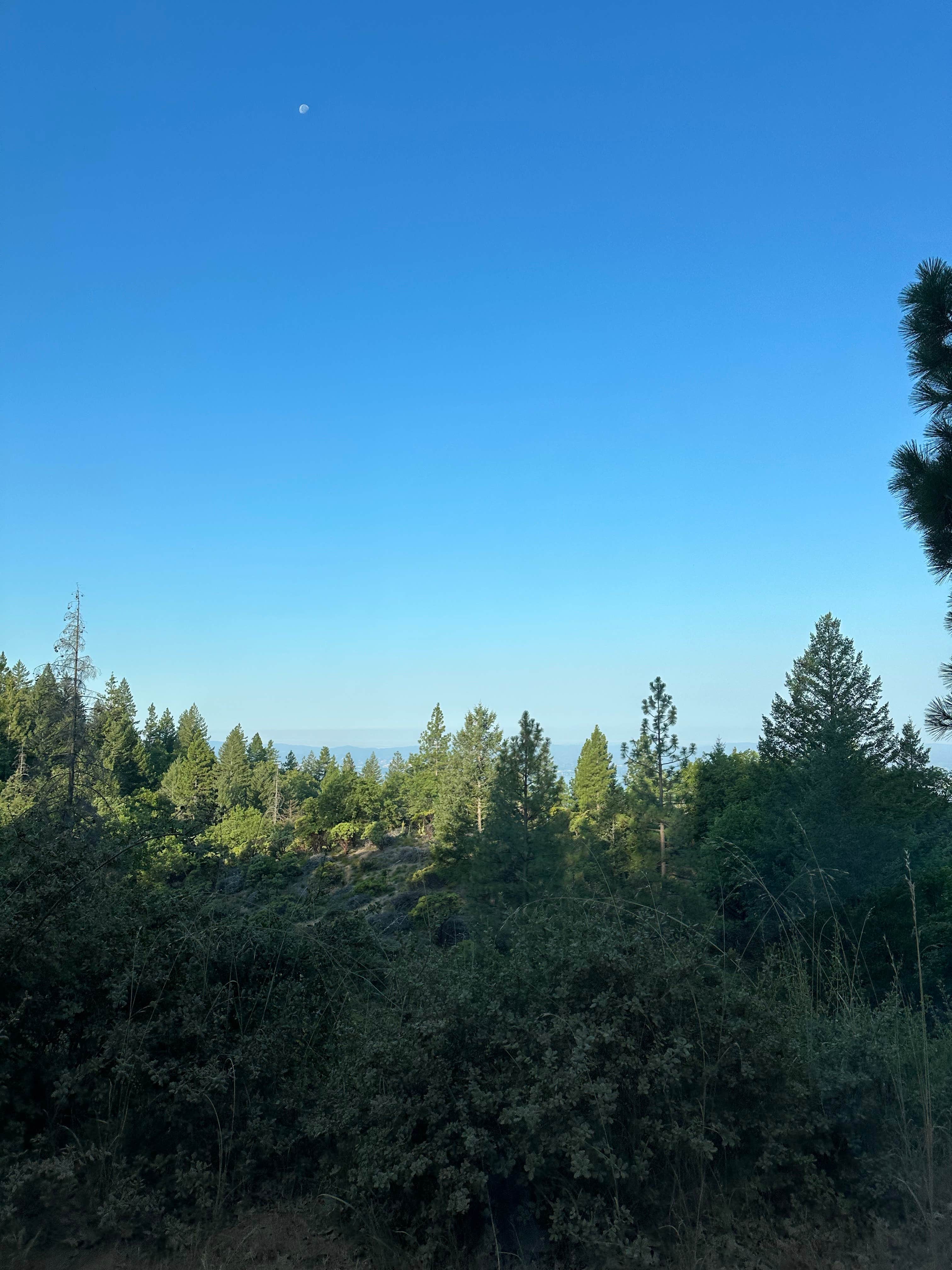 Camper-submitted photo at Lakeview Dispersed Campground near Stonyford, CA