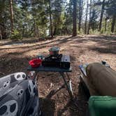 Review photo of Lakeview Dispersed Campground by Joe M., July 2, 2025