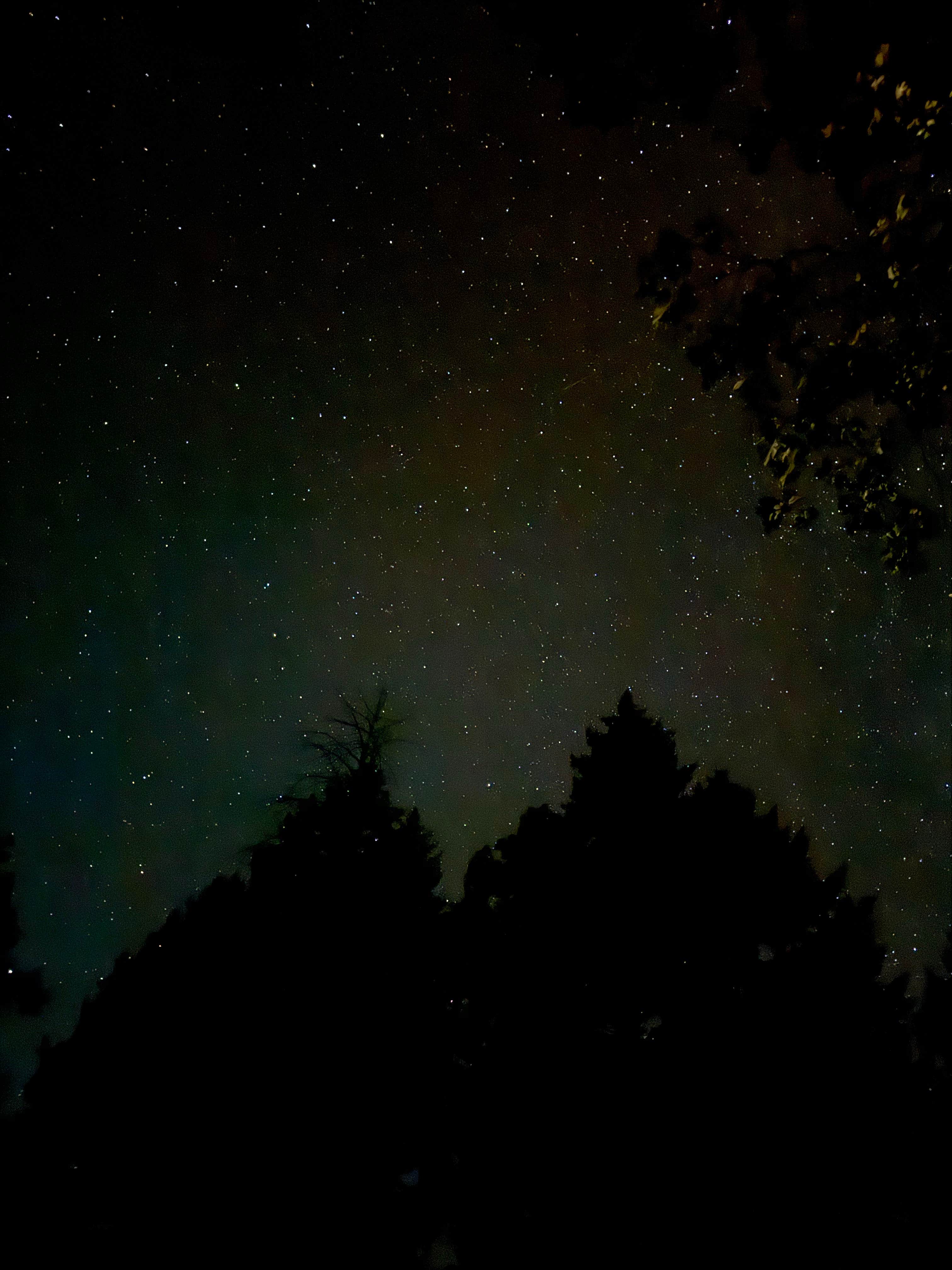 Jaye S.'s photo of a dispersed camping area at Lakeview Dispersed Campground near Santa Rosa, CA