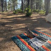 Review photo of Lakeview Dispersed Campground by Stacy L., June 10, 2024