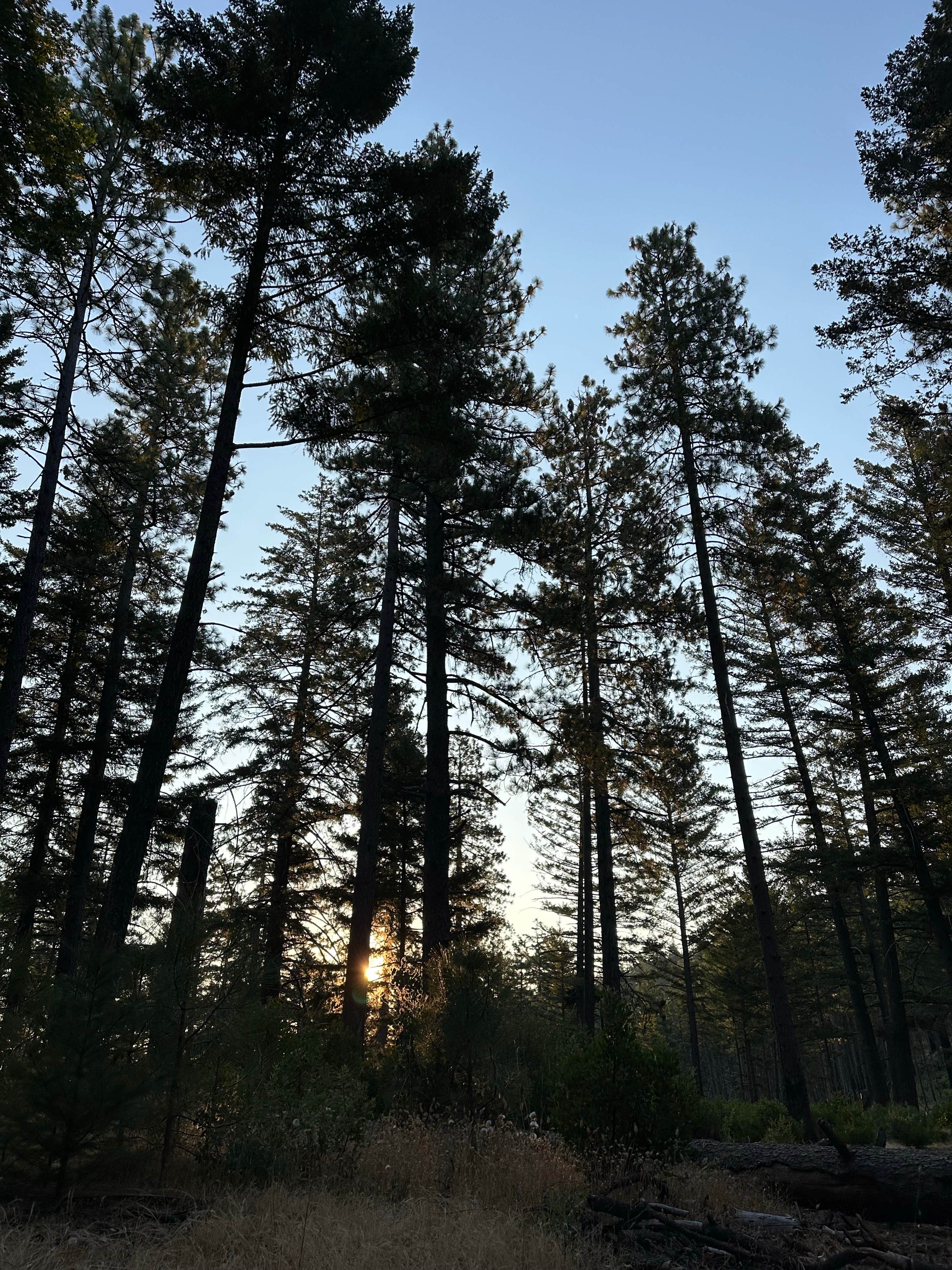 Camper-submitted photo at Lakeview Dispersed Campground near Stonyford, CA