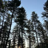 Review photo of Lakeview Dispersed Campground by Kirra L., July 24, 2025
