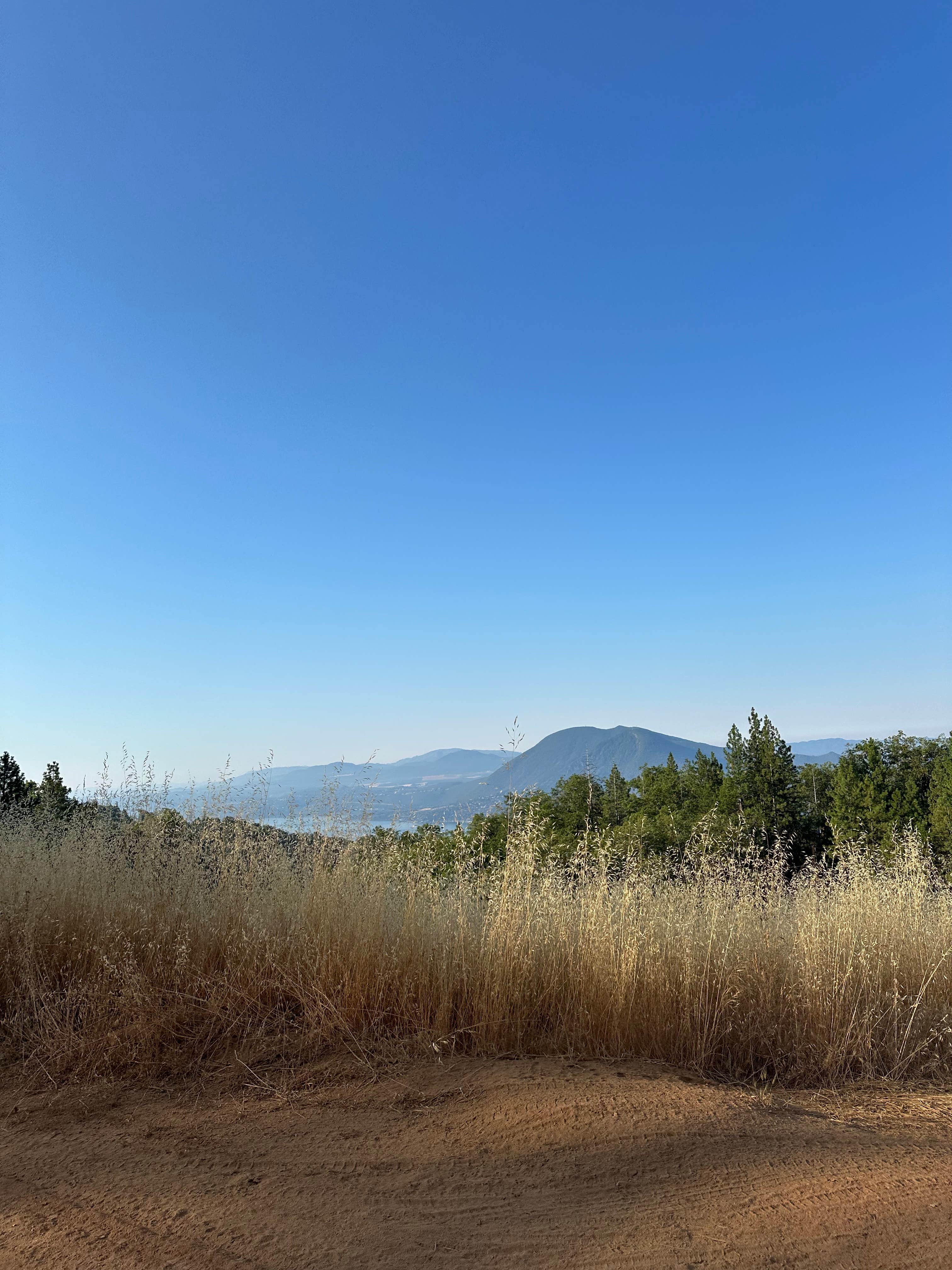 Camper-submitted photo at Lakeview Dispersed Campground near Stonyford, CA