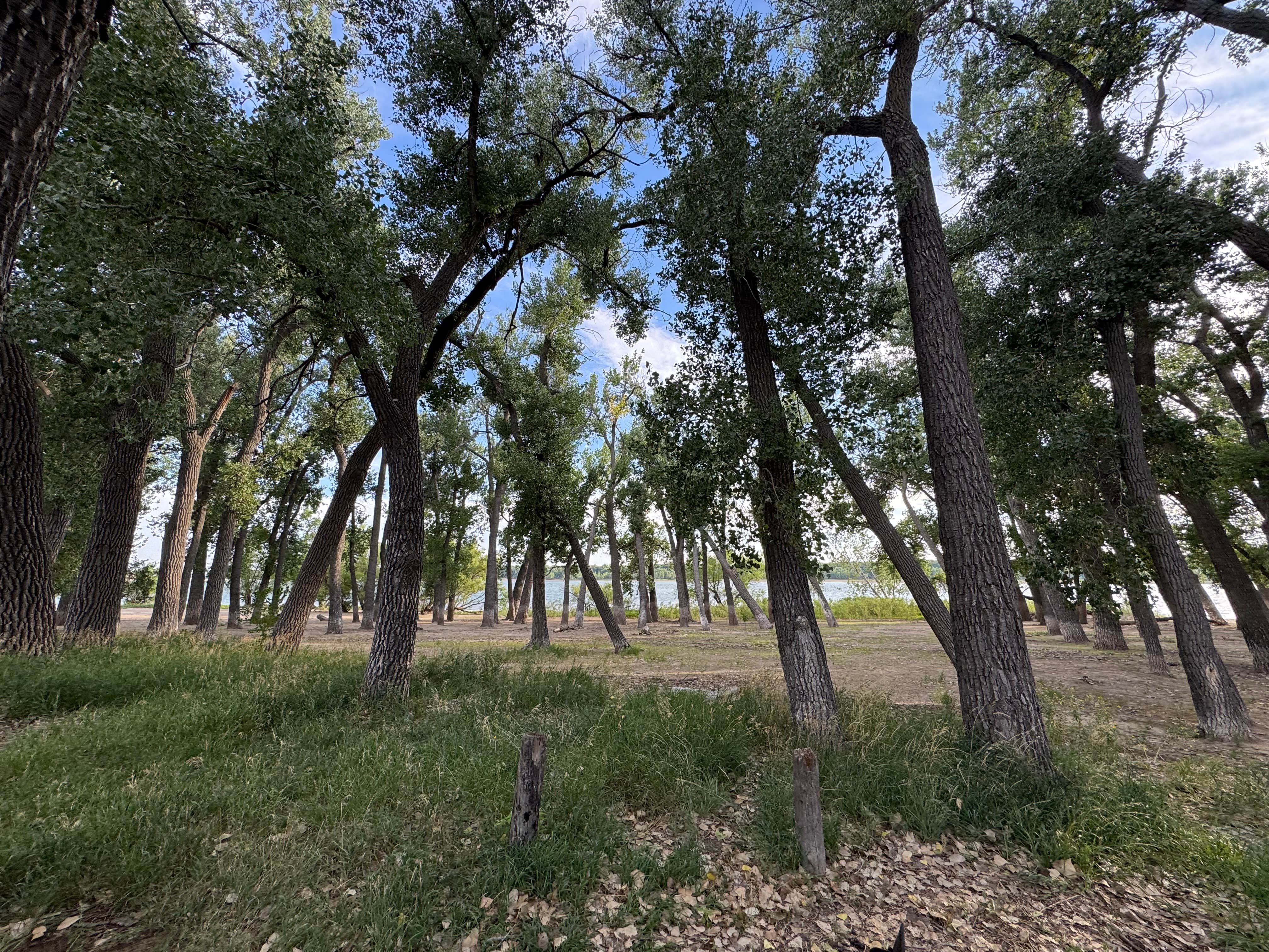 Camper submitted image from Lakeview Point Campground - Lake Minatare SRA - 1