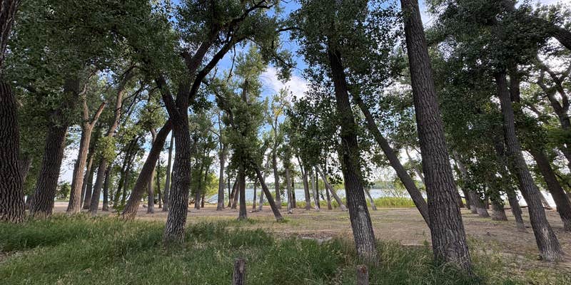 Camper submitted image from Lakeview Point Campground - Lake Minatare SRA