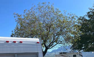 Camping near South Monticello — Elephant Butte Lake State Park: Lakeview RV Park, Caballo, New Mexico