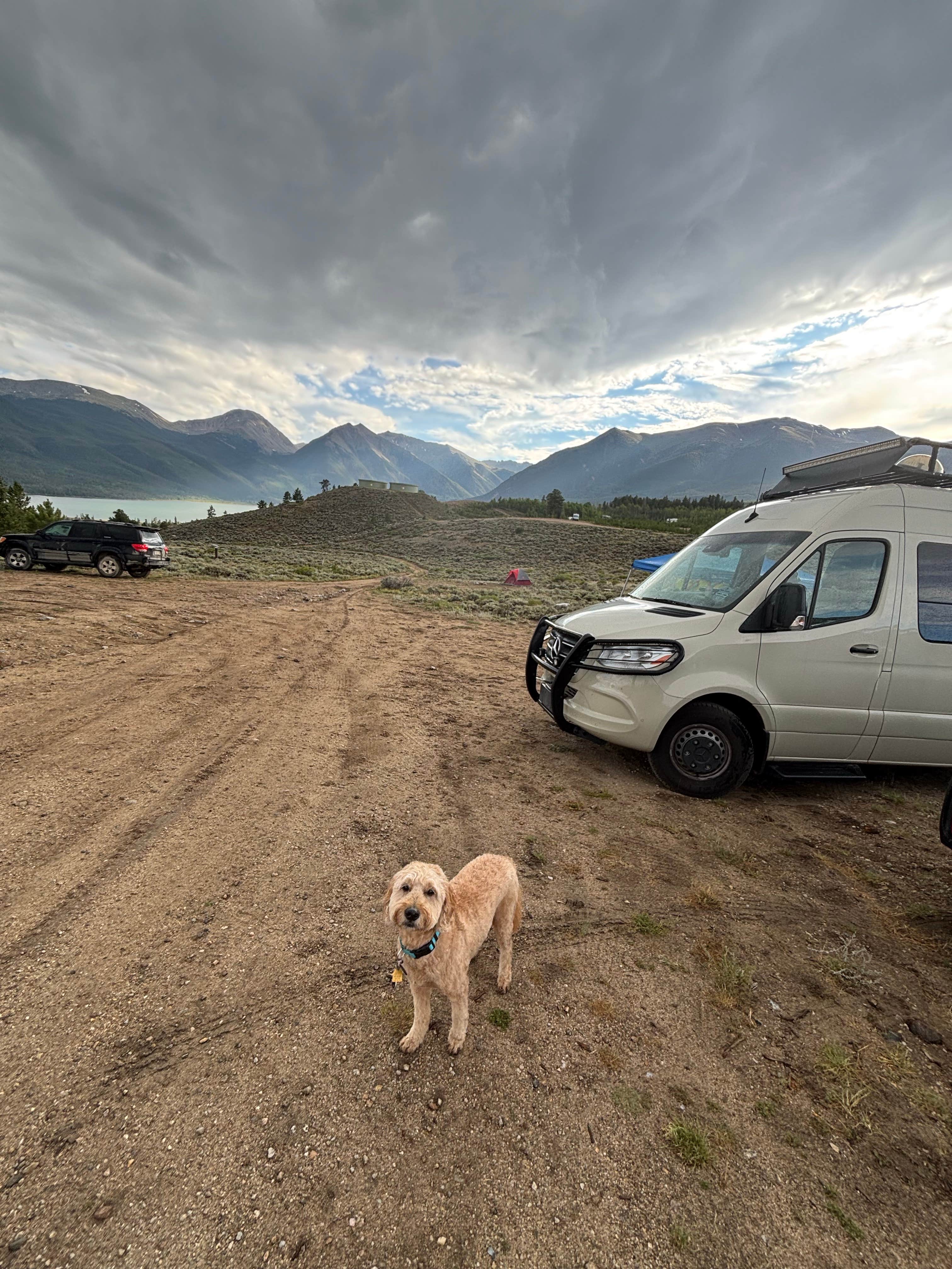 Frank B.'s photo of camping with pets at Twin Lakes View Dispersed near Leadville, CO